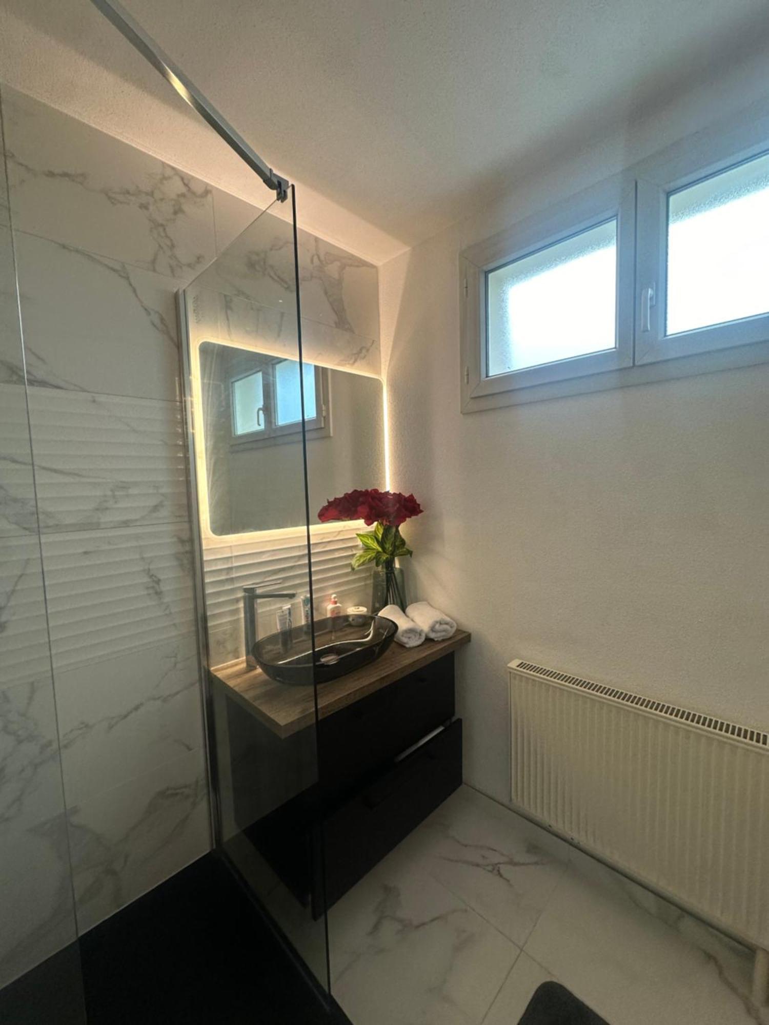 Tres Beau Trois Pieces Avec Vue Degagee Estrasburgo